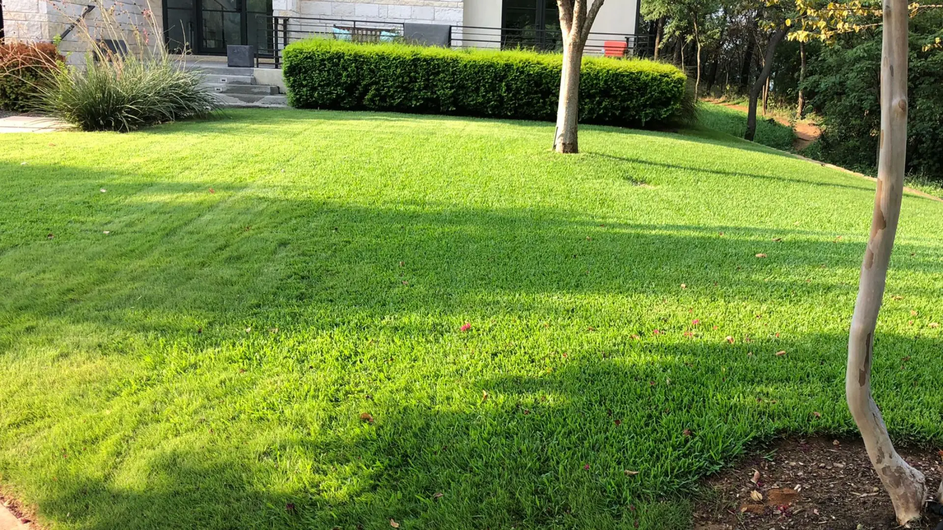 Should You Mow Your Lawn Before Applying a Spring Fertilization Treatment?