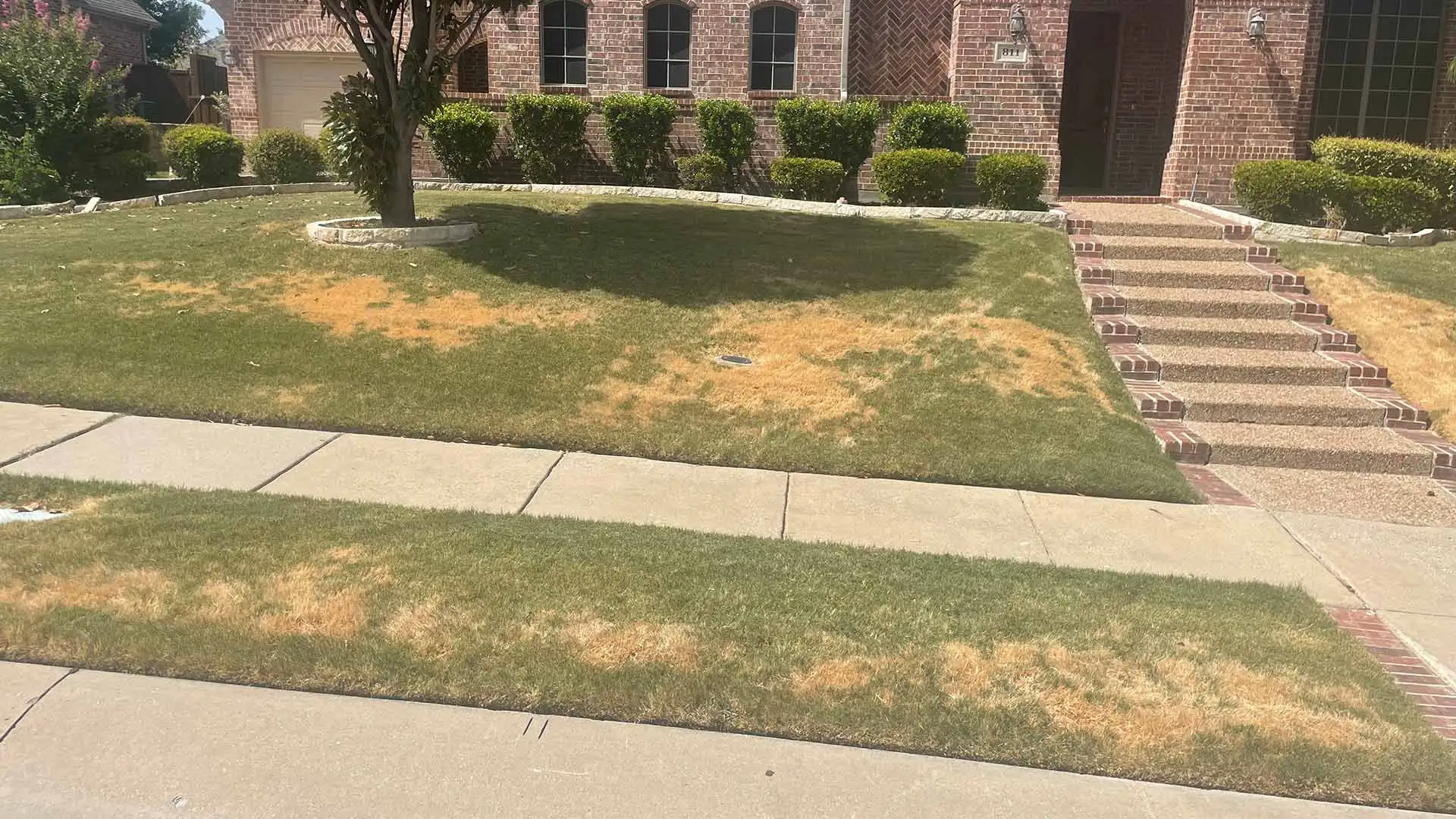 Is Your Lawn Suffering From Drought Stress?