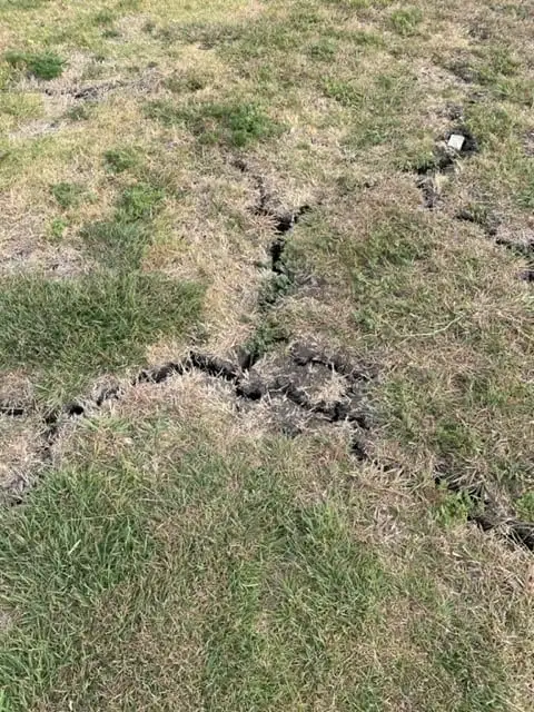 Severe soil shrinkage caused by drought stress