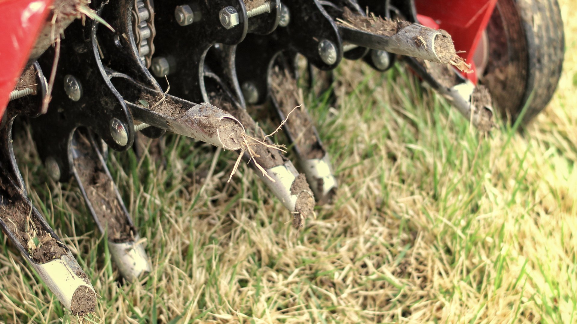 What Is the Purpose of Core Aeration? Weedex Lawn Care