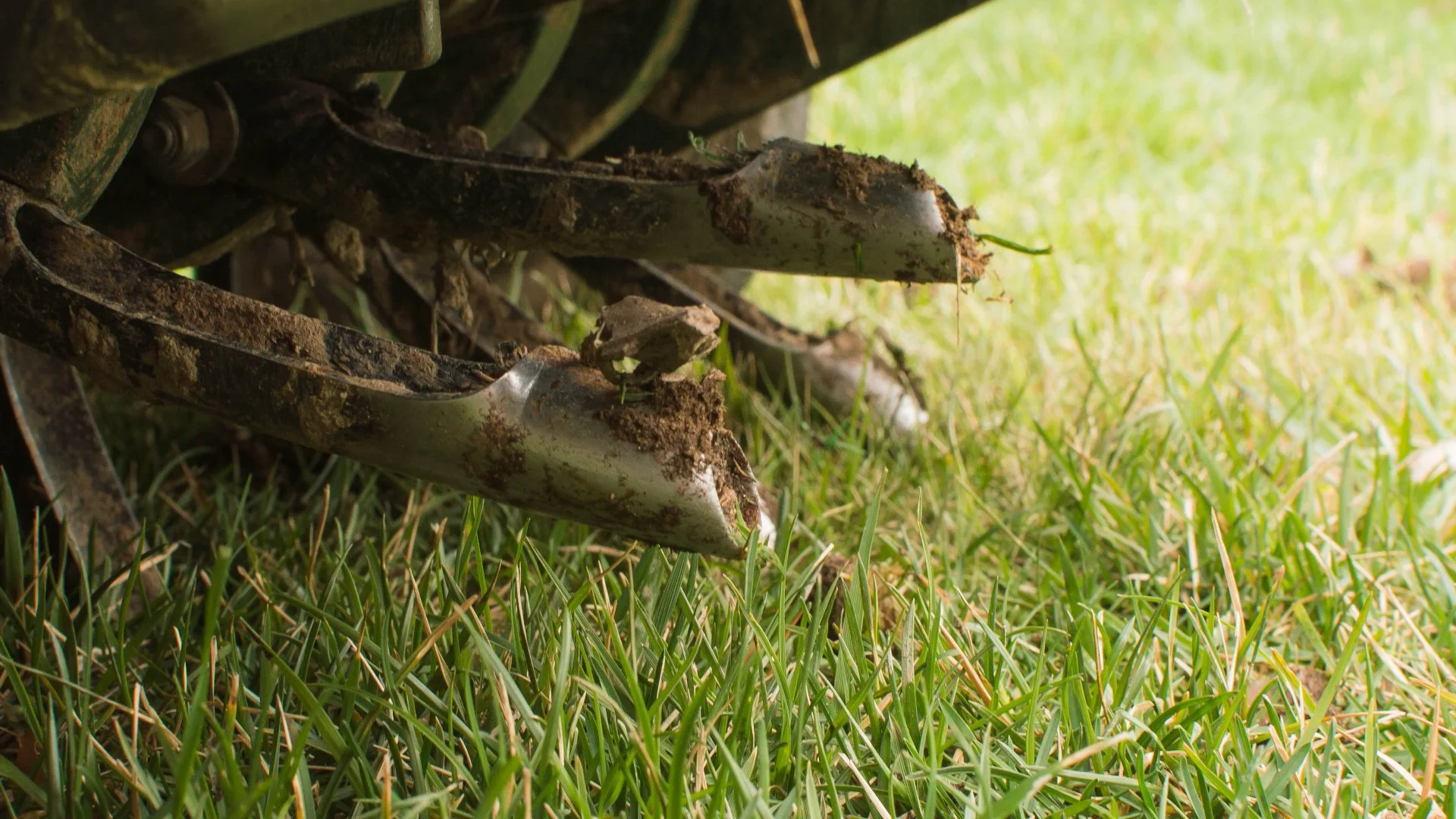 Which Is Better for Your Lawn in Texas: Liquid or Core Aeration?