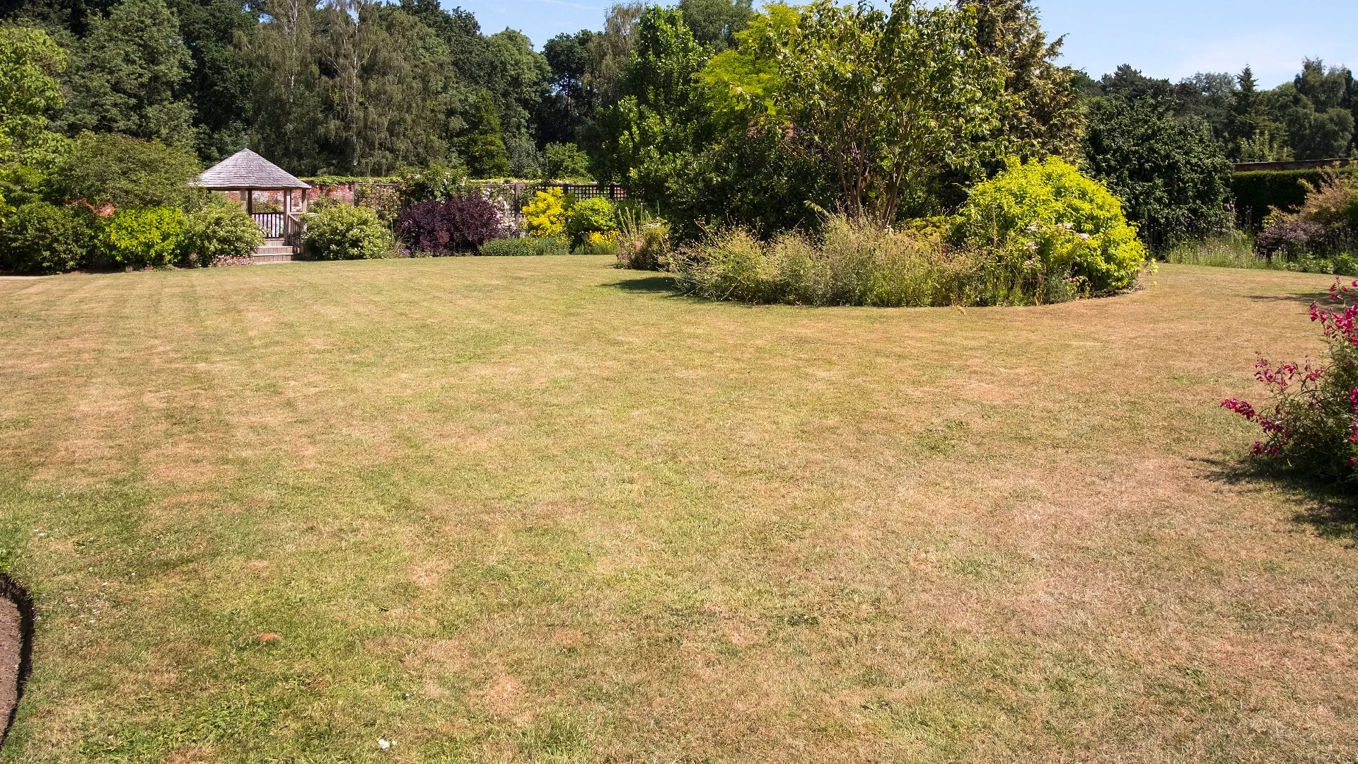 Drought or Normal Lawn Dormancy? How To Tell Between the Two & What To Do