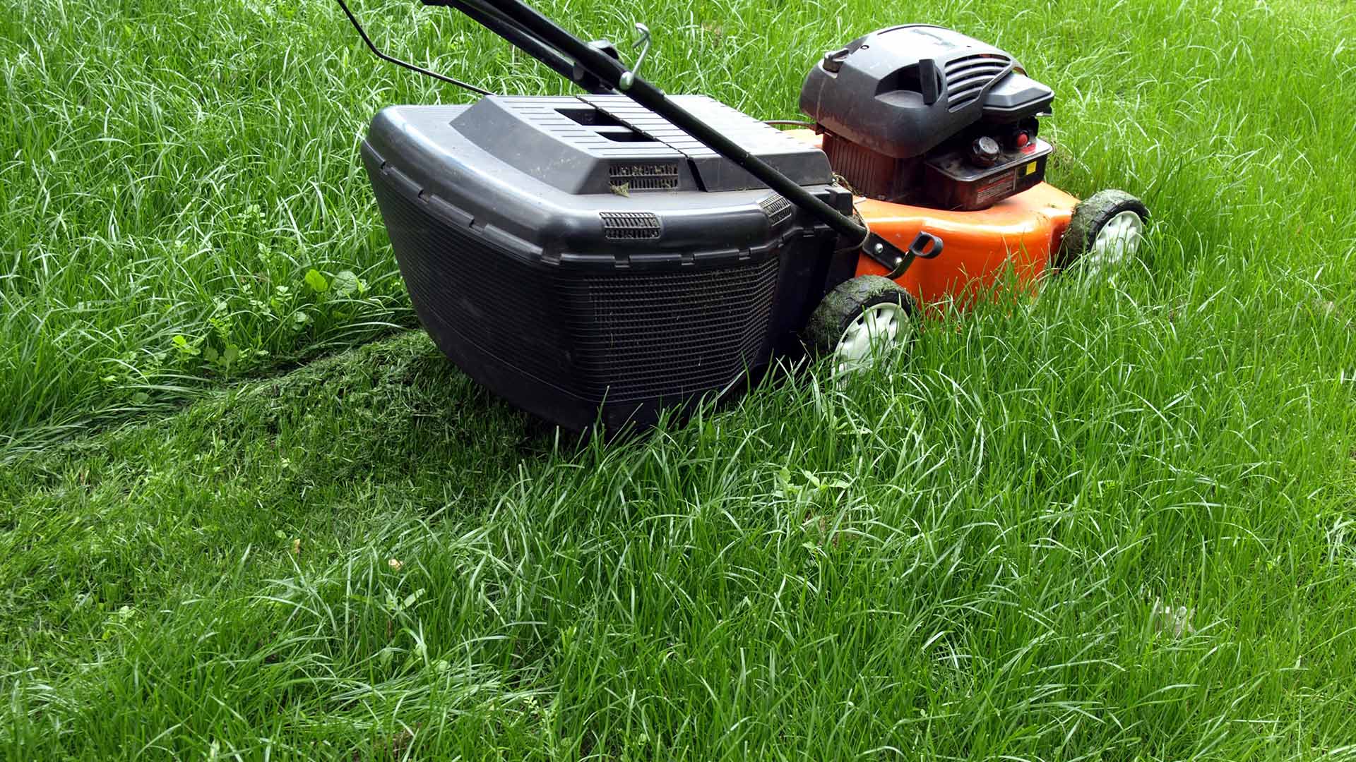 Summer Lawn Care: Mowing