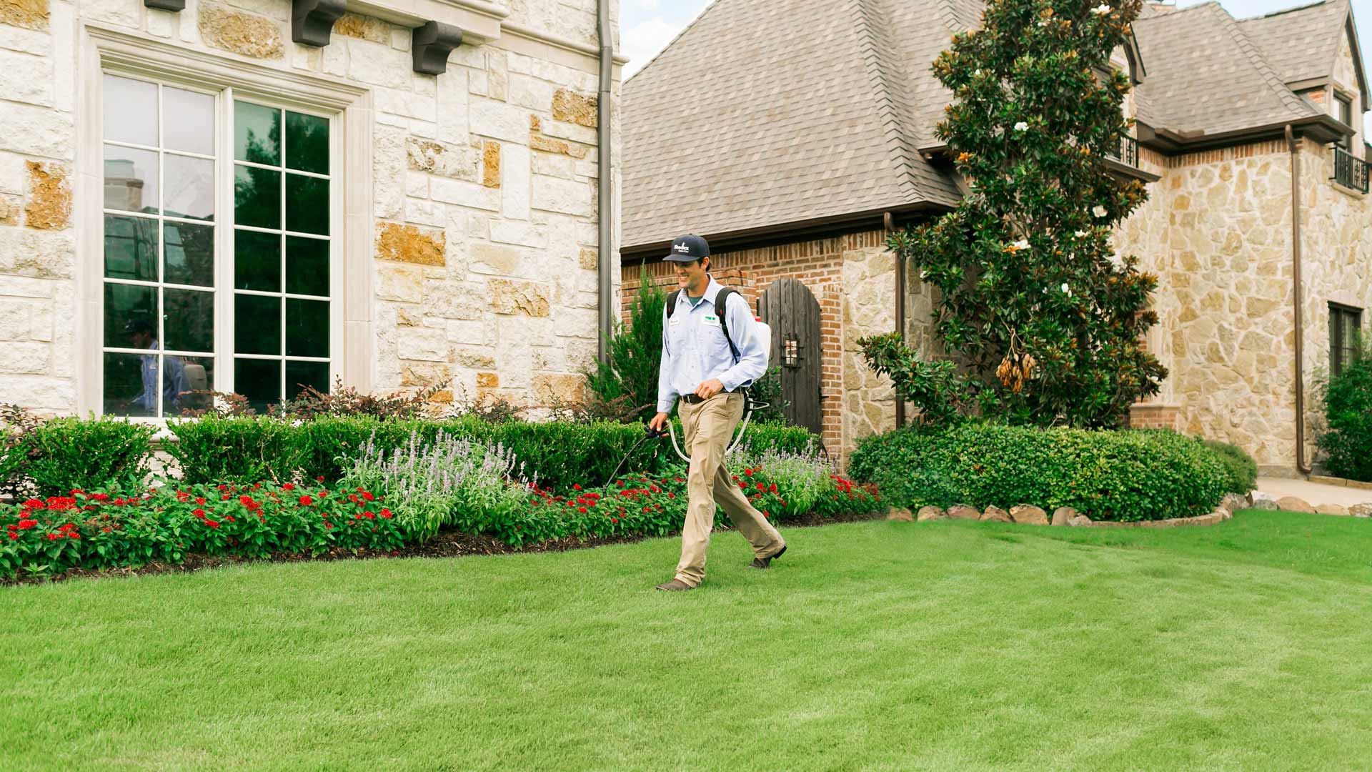 Pre-Emergent Weed Control: The Key to a Low-Maintenance Lawn