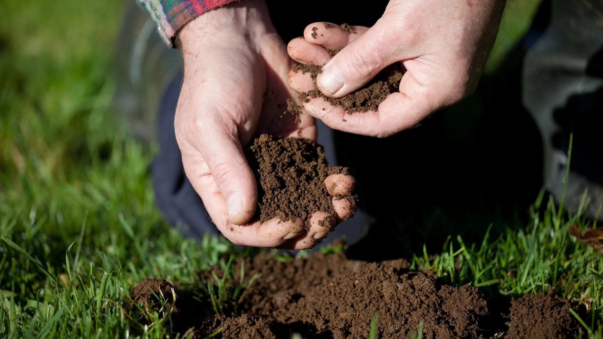 Improve the Health of Your Turf by Investing in Soil Care Treatments