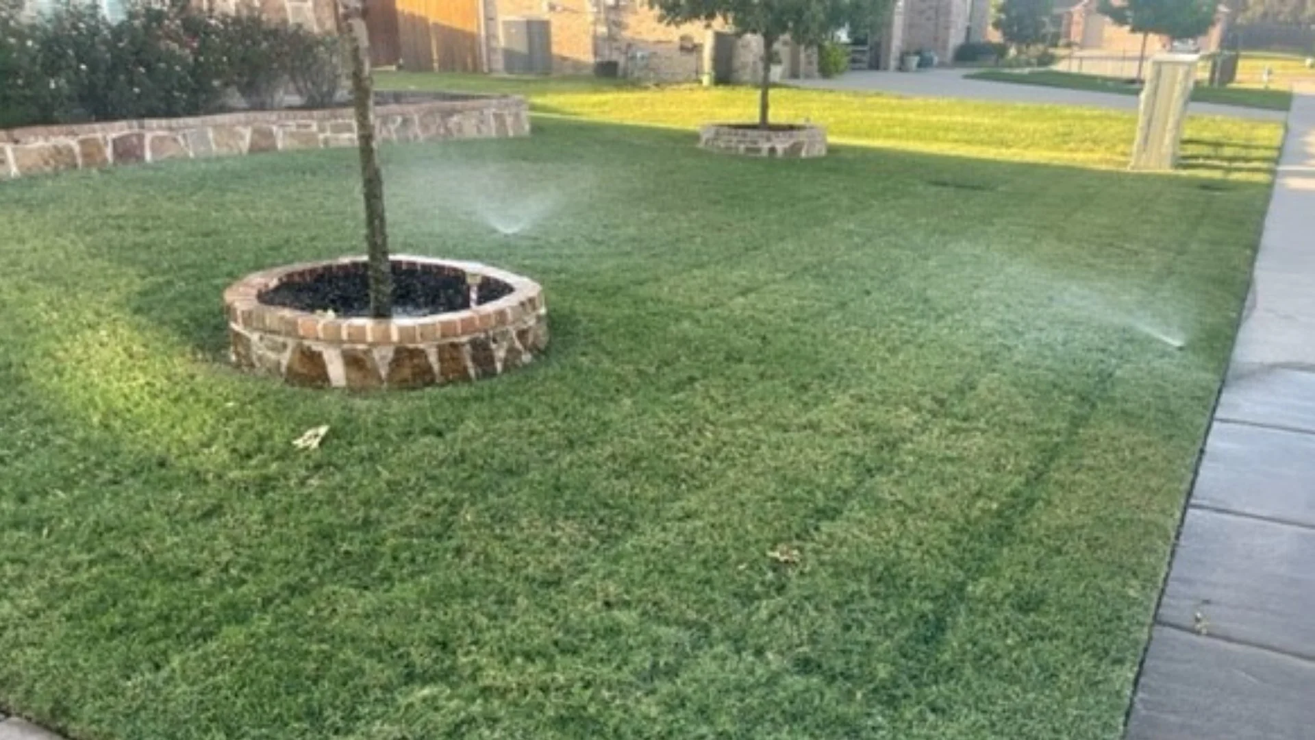 Do You Need to Water Your Lawn After It Was Fertilized?