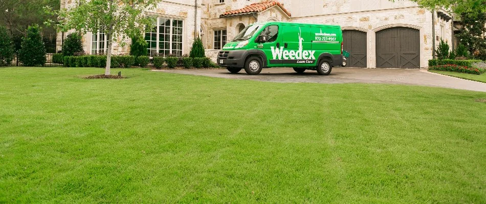 A healthy, fertilized lawn in Dallas, TX, with a house a professional van.