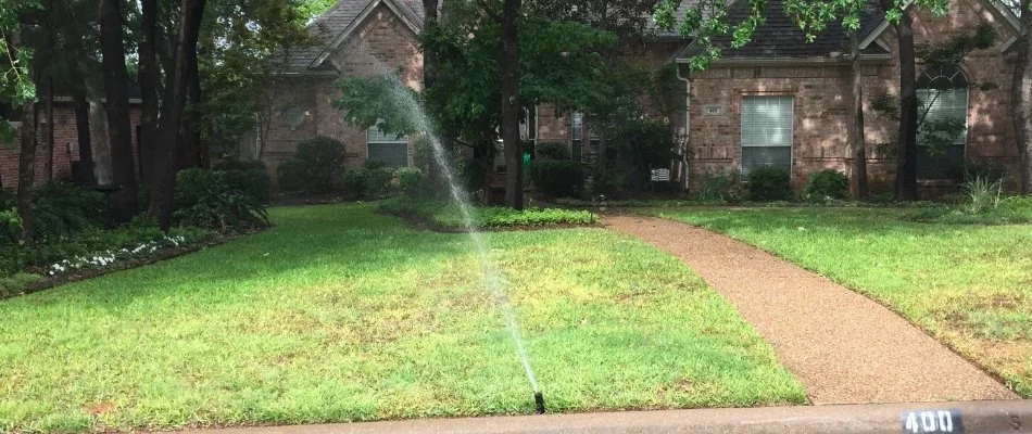 Overwatering a lawn in Dallas, TX, with fungus disease.