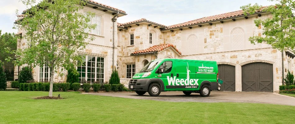 Professional lawn care team outside of a home in Dallas, TX.