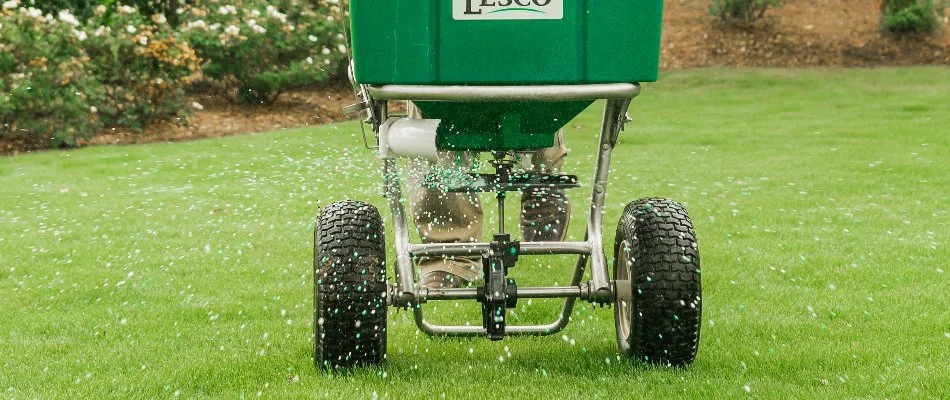 Someone fertilizing their lawn with a granular product in Dallas, TX.