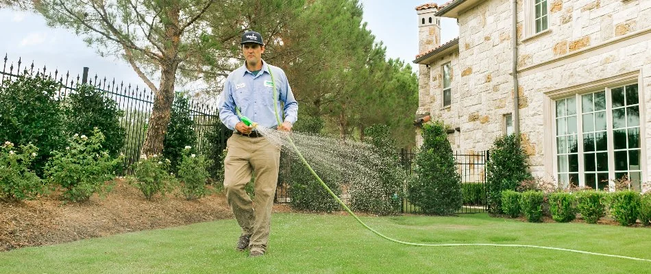 Weed control application on a lawn in Dallas, TX.