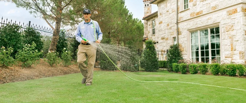 Weedex worker spraying a lawn care treatment to grass in Dallas, TX.