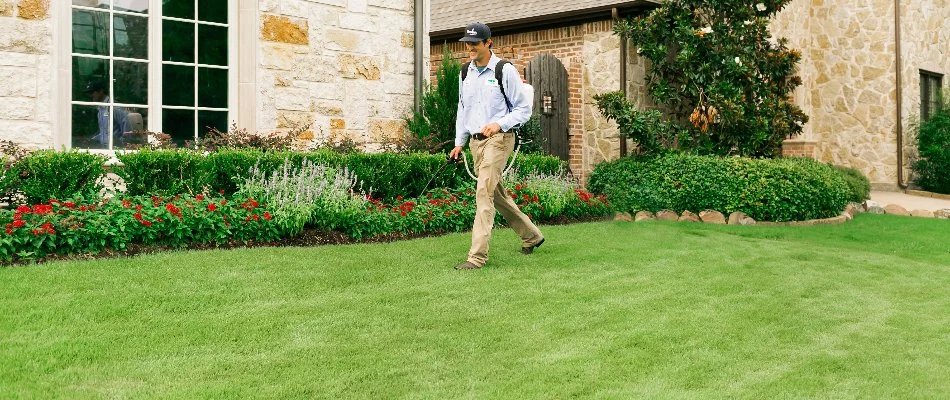 A worker in Dallas, TX, applying a treatment to grass.