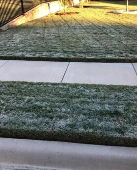 Frost on lawn in North Texas
