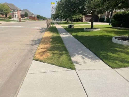 Drought damaged lawn caused by radiating heat from street and curb