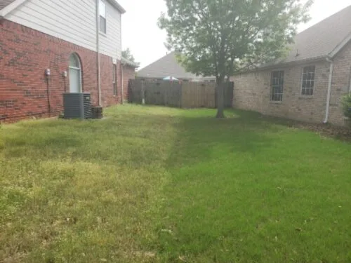 Side by side North Texas lawn comparison