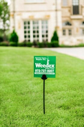 Green and white Weedex Lawn Sign in McKinney lawn