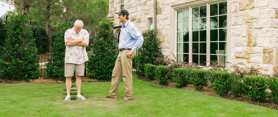 Lawn care consultation with Weedex Lawn Care expert in Cedar Hill, TX.