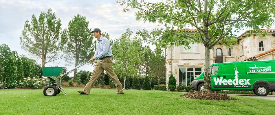 Crew applying granular fire ant control treatment on a lawn in Cross Roads, TX.