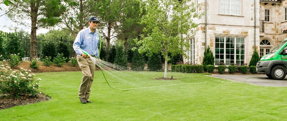 Crew spraying a liquid treatment on green grass in Rendon, TX.