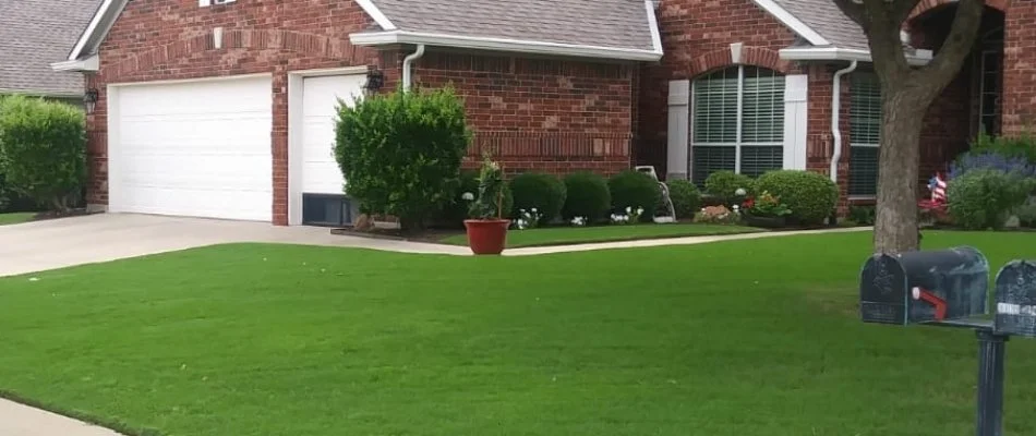 Fertilized green grass with small shrubs on a residential property in Watauga, TX.