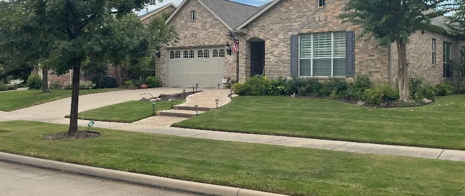 Front yard in Murphy, TX, with a lawn, trees, and sidewalk.