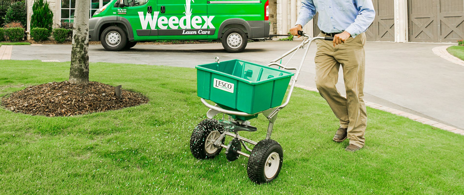 Granular fertilizer being applied to a lawn through a spreader in Grapevine, TX.