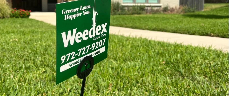 Green Weedex sign on a lawn in Forest Hill, TX.