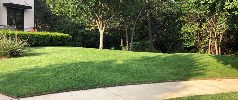 healthy and maintained lawn in Fort Worth, TX.