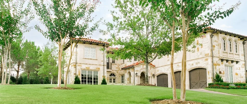 Healthy trees on a property in Sachse, TX.