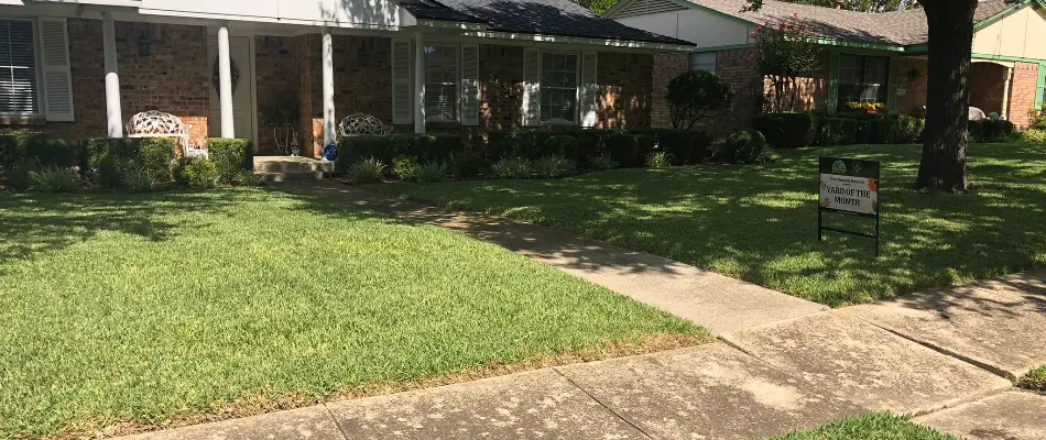 Healthy, green grass in Irving, TX, with shrubs.