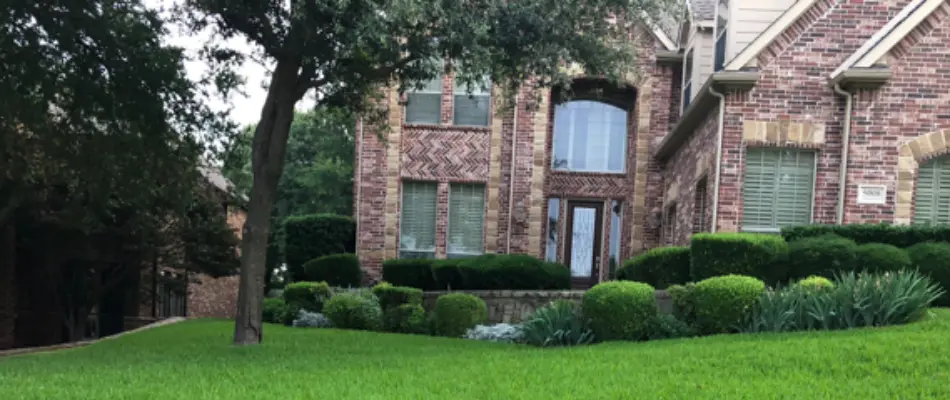 A home with trees and shrubs in Princeton, TX.