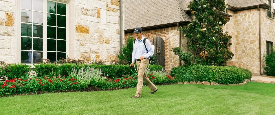 A lawn care professional spraying a weed control treatment onto a lawn in Princeton, TX.