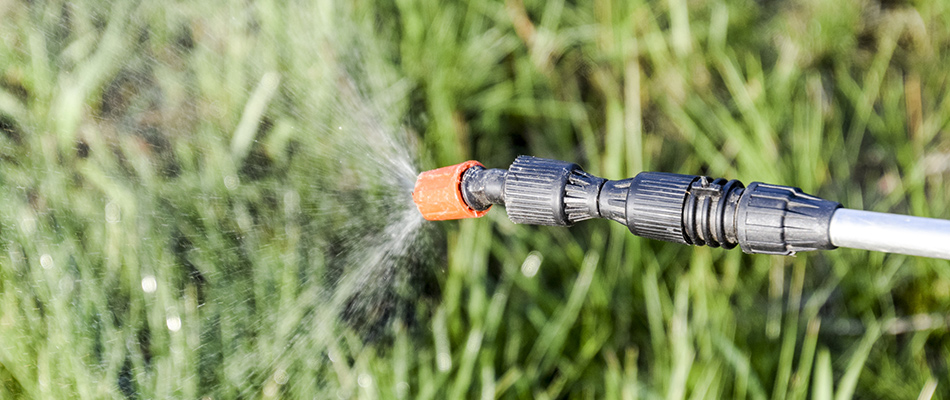 Sprayer nozzle over a lawn needing treatment in Arlington, TX.