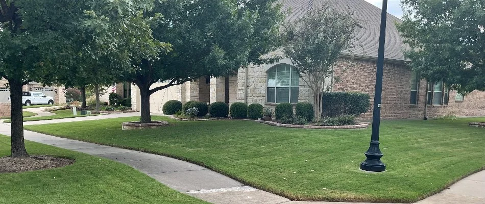 Thick green grass and healthy trees and shrubs by a house in Benbrook, TX.