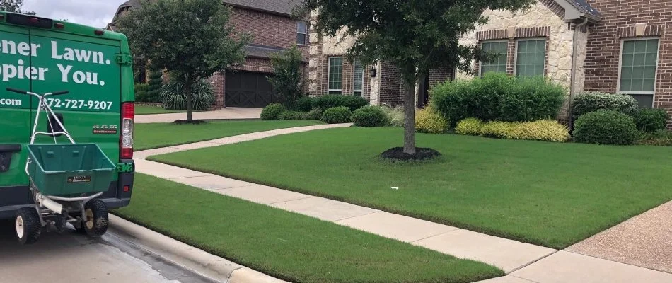 Tree and shrubs on a green lawn in Melissa, TX.