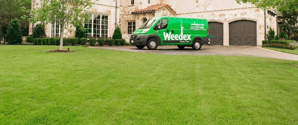 Truck near vibrant green grass with trees and shrubs in Corinth, TX.