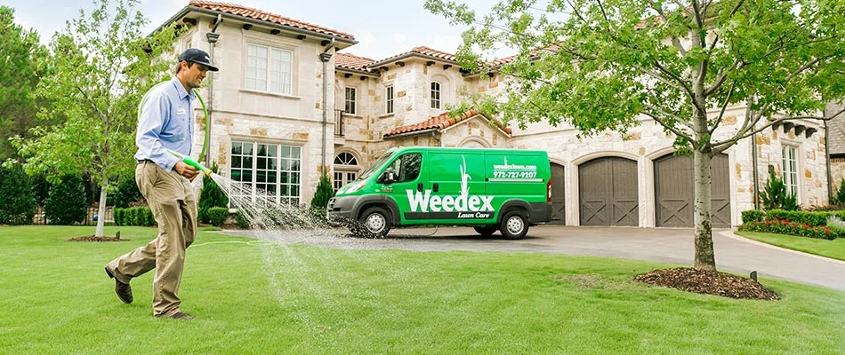 Weedex route manager spraying a lawn with a hose near Dallas, Texas.