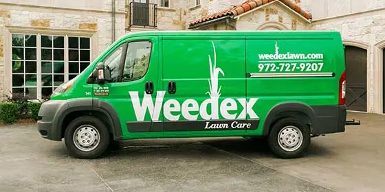 Weedex Lawn Care van with logo in Dallas, Texas.