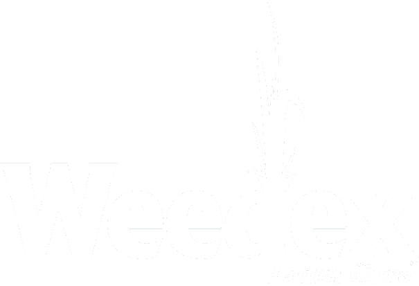 Weedex Lawn Care brand logo