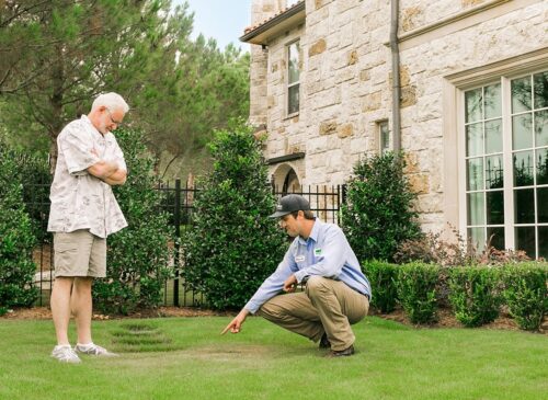 Homeowner being educated on a lawn disease found in his lawn in Euless, TX.